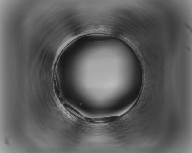 X0000100971200200806241544