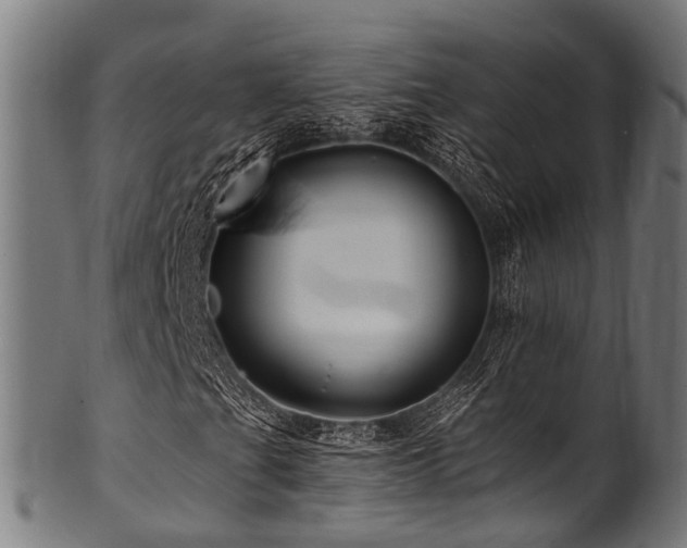 X0000100971201200806241543