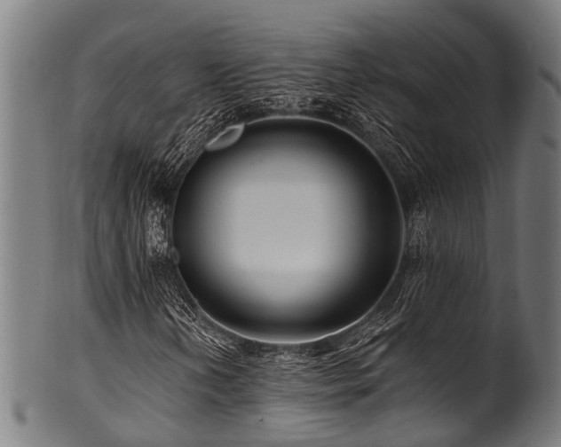 X0000100971202200806241543