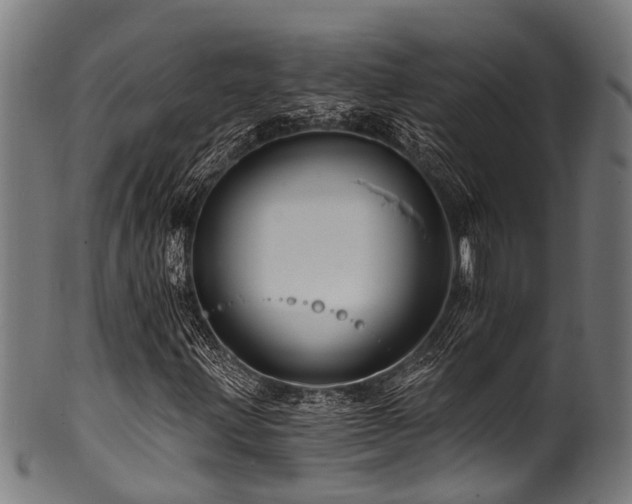 X0000100971203200806241543