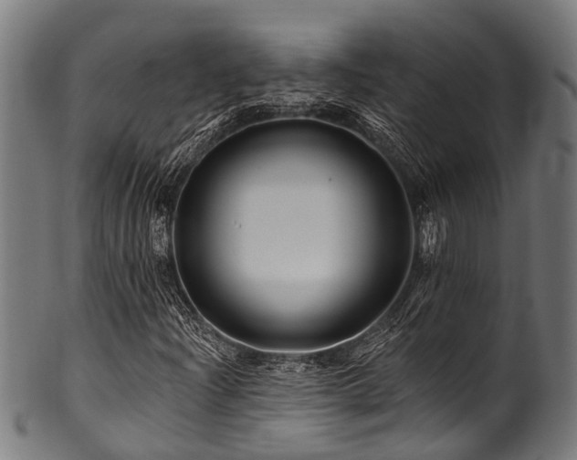 X0000100971204200806241543