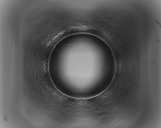 X0000100971205200806241543