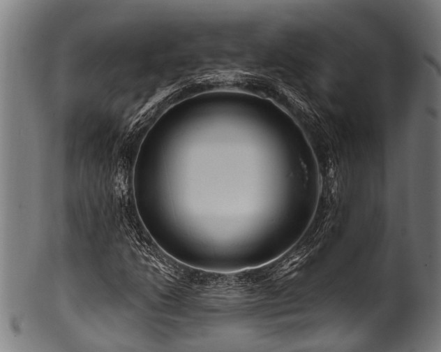 X0000100971206200806241543