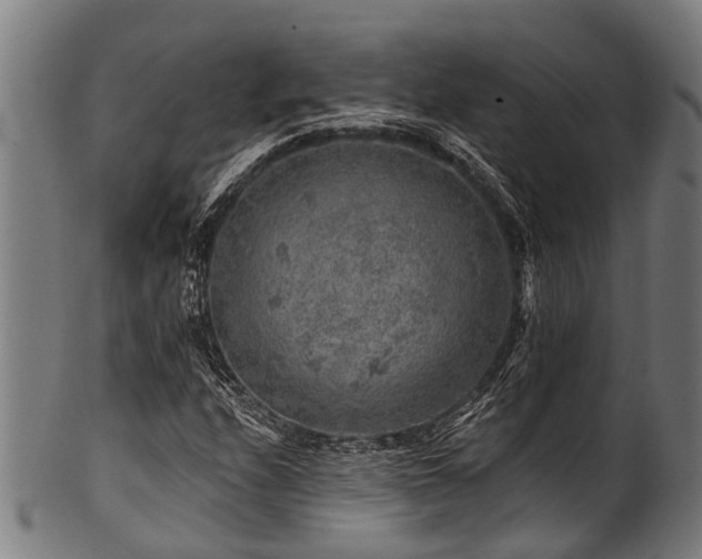 X0000100971208200806241543