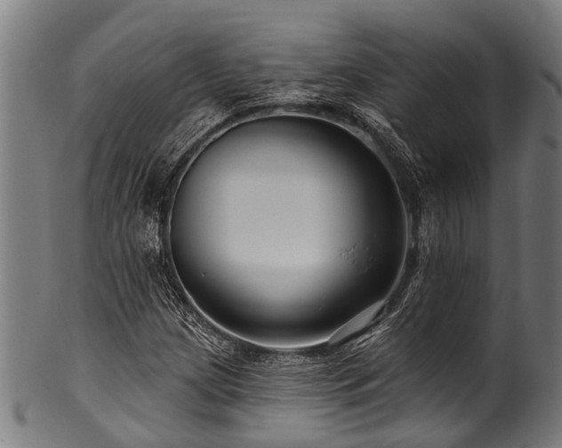 X0000100971209200806241543