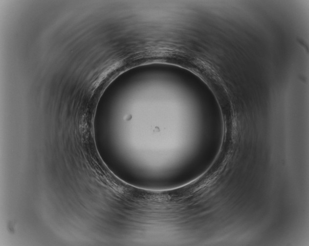 X0000100971210200806241543