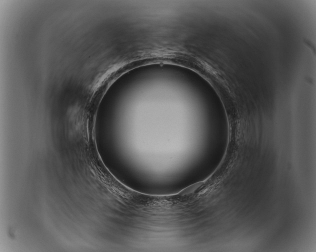 X0000100971214200806241543