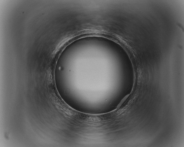 X0000100971215200806241543