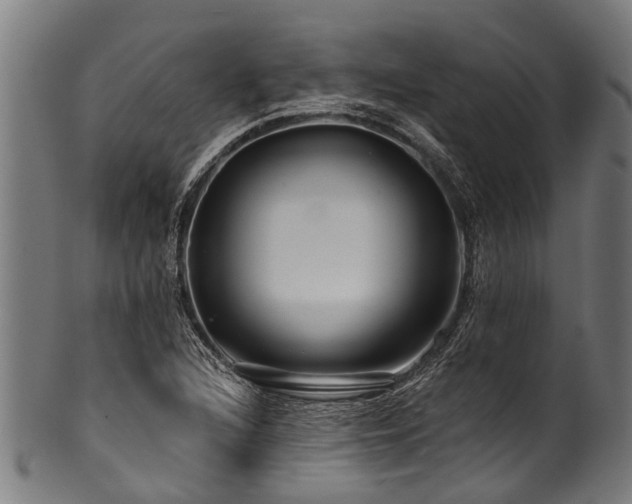 X0000100971216200806241543