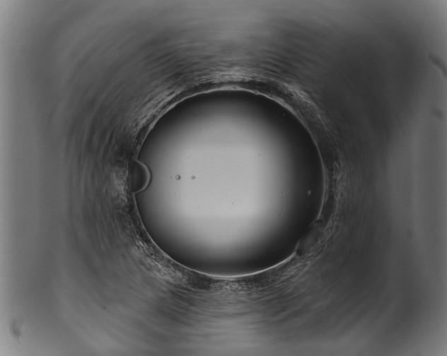 X0000100971217200806241543