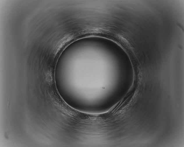 X0000100971218200806241543