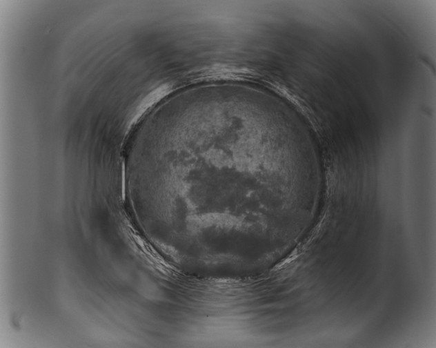 X0000100971219200806241543