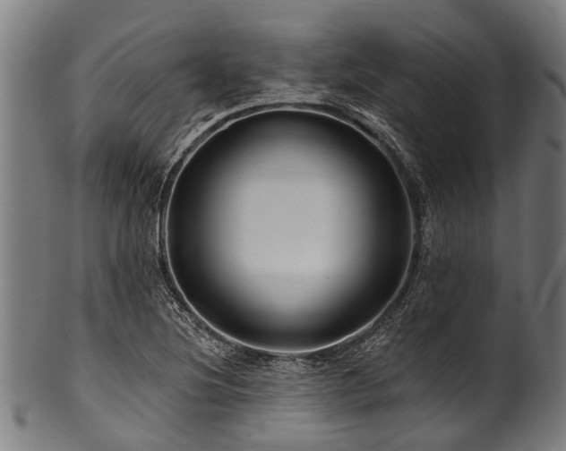 X0000100971220200806241543