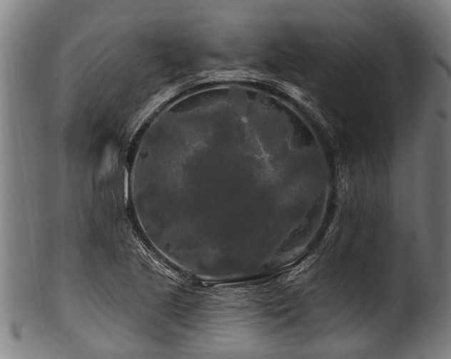 X0000100971221200806241543