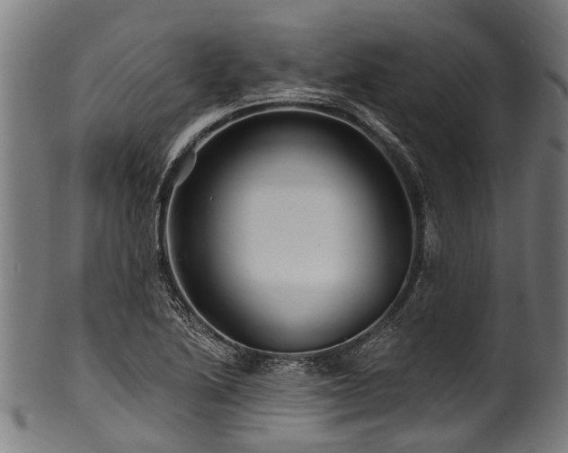 X0000100971222200806241543