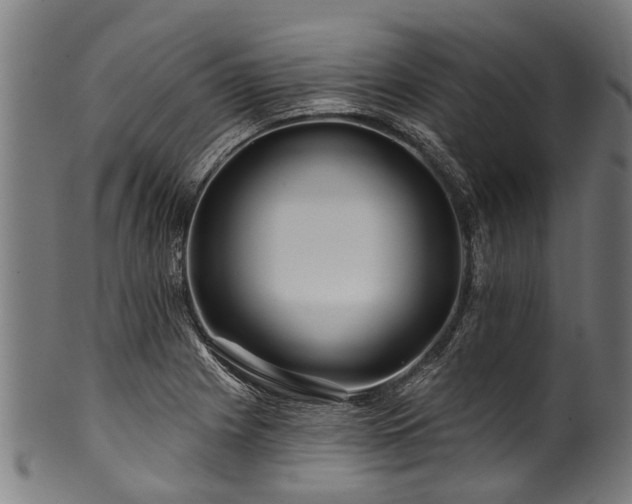 X0000100971225200806241543