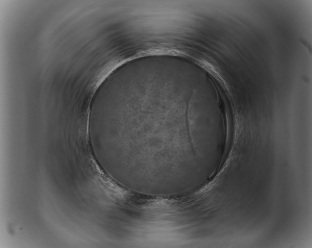 X0000100971228200806241543