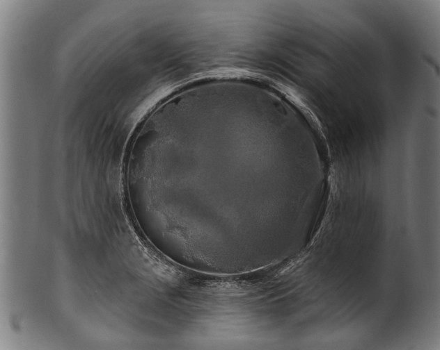 X0000100971229200806241543