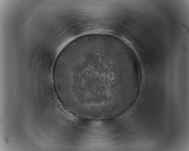 X0000100971230200806241543