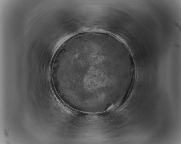 X0000100971231200806241543