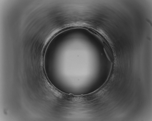 X0000100971232200806241543