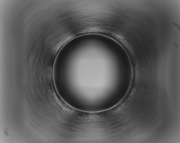 X0000100971233200806241543