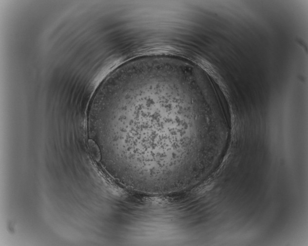 X0000100971234200806241543