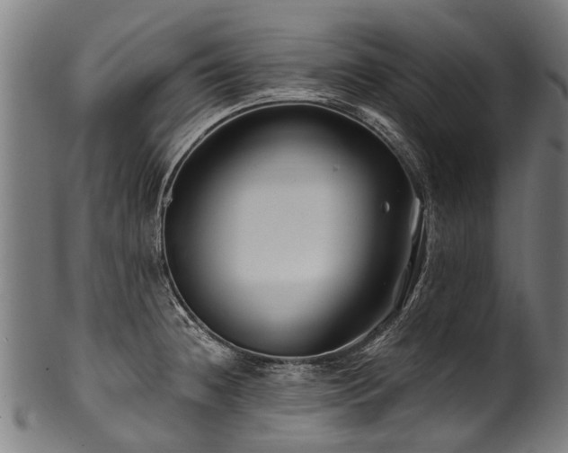 X0000100971236200806241543