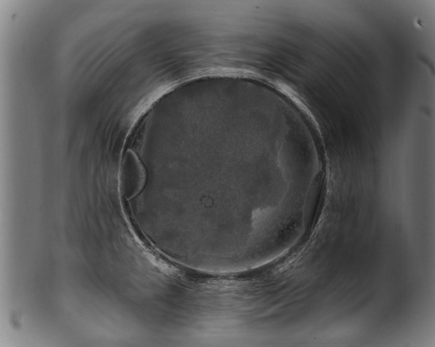 X0000100971237200806241543