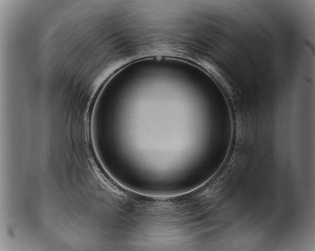 X0000100971238200806241543