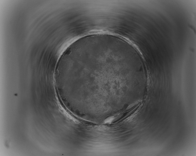 X0000100971239200806241543