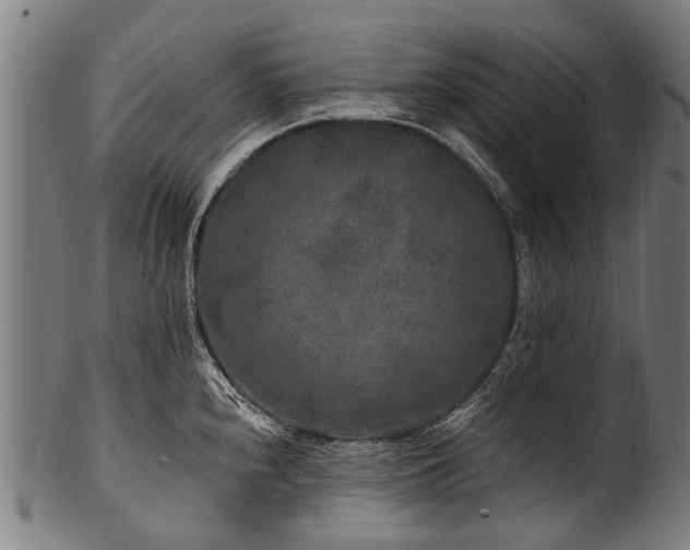 X0000100971240200806241543