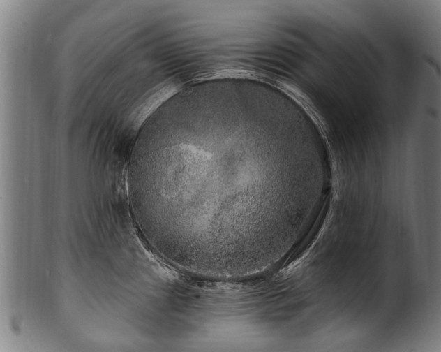 X0000100971241200806241543