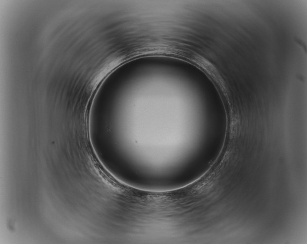 X0000100971242200806241543