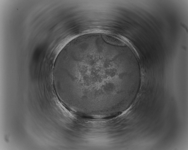 X0000100971244200806241543