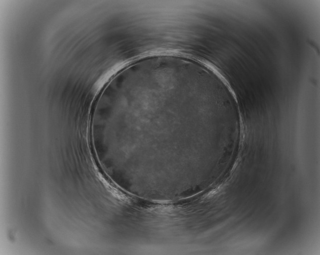 X0000100971245200806241543