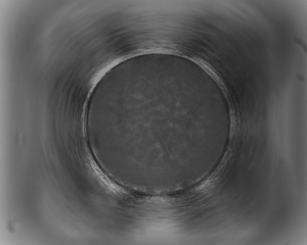 X0000100971246200806241543