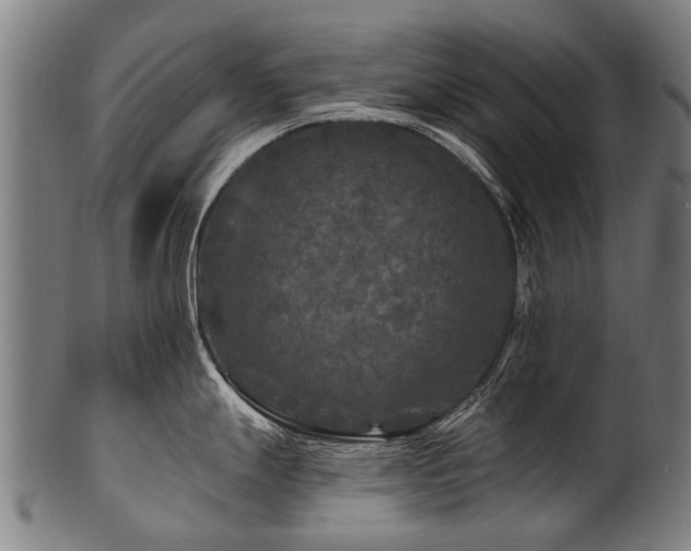 X0000100971247200806241543