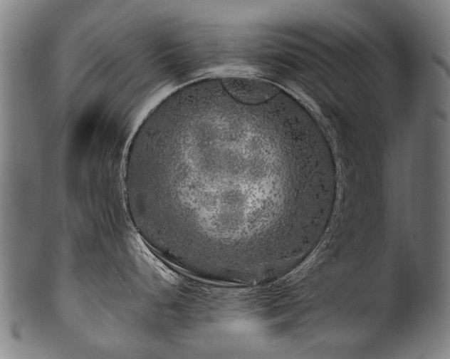 X0000100971248200806241543