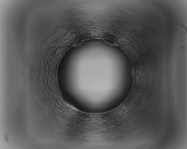 X0000100971249200806241543