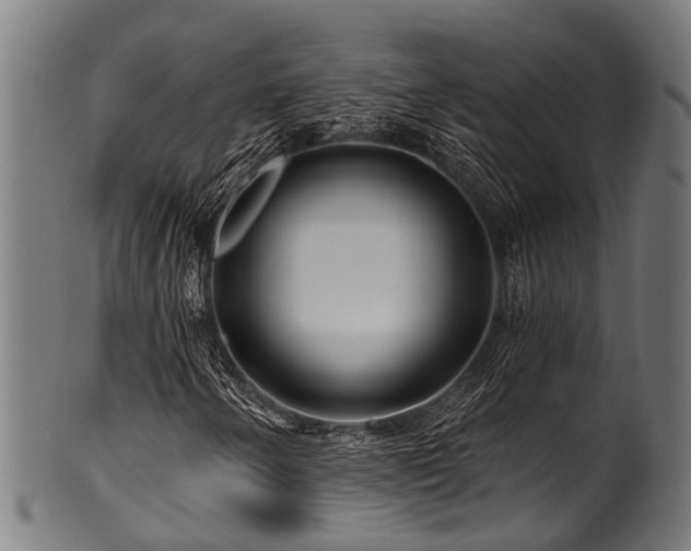 X0000100971250200806241543