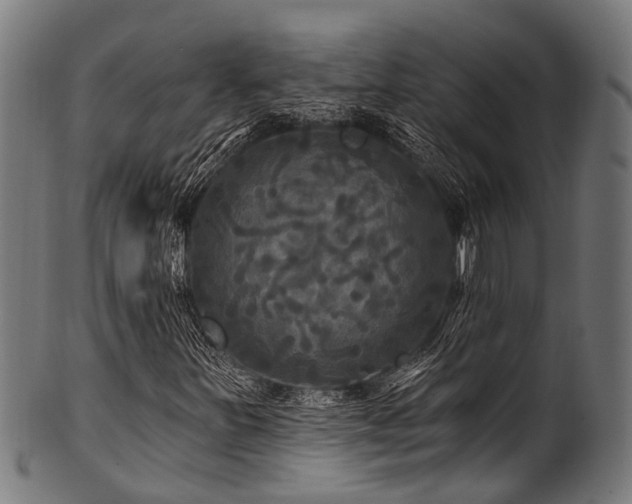 X0000100971251200806241543