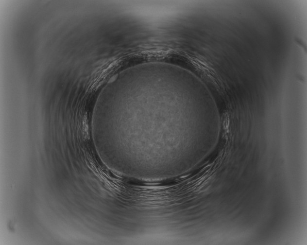 X0000100971252200806241543