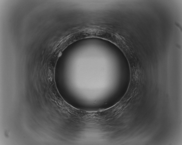 X0000100971253200806241543