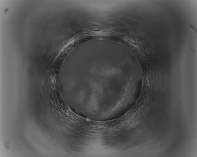 X0000100971254200806241543