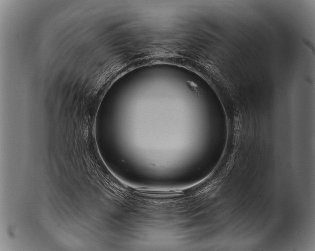 X0000100971257200806241543