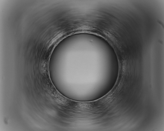 X0000100971258200806241543