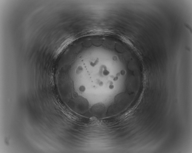 X0000100971259200806241543