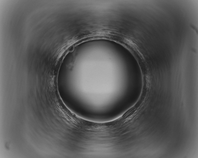 X0000100971260200806241543