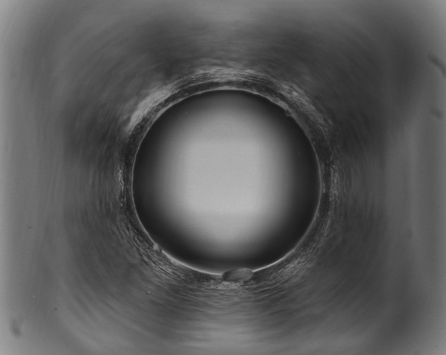 X0000100971261200806241543